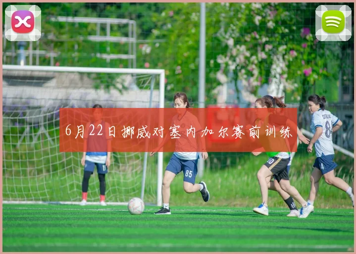 6月22日挪威对塞内加尔赛前训练