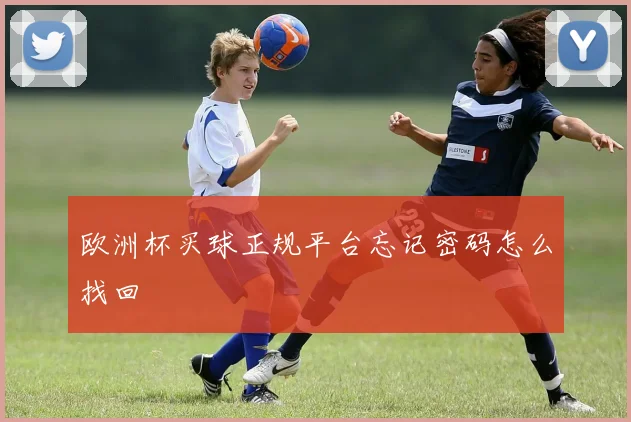 欧洲杯买球正规平台忘记密码怎么找回