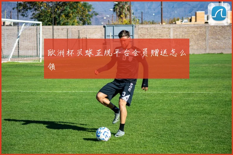 欧洲杯买球正规平台会员赠送怎么领