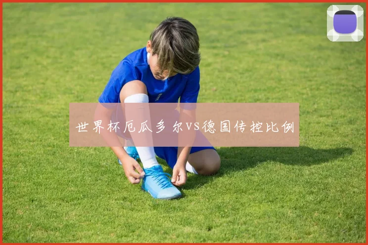 世界杯厄瓜多尔vs德国传控比例