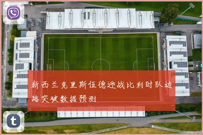 新西兰克里斯伍德迎战比利时队边路突破数据预测