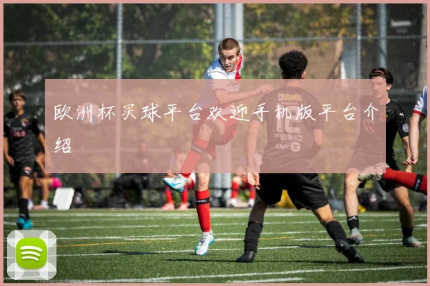 欧洲杯买球平台欢迎手机版平台介绍