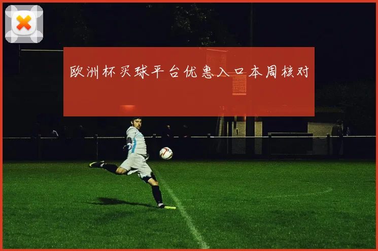 欧洲杯买球平台优惠入口本周核对