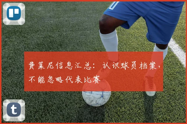 费莱尼信息汇总:认识球员档案,不能忽略代表比赛