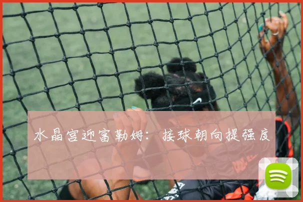 水晶宫迎富勒姆：接球朝向提强度