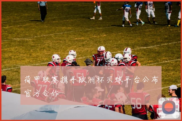 荷甲联赛携手欧洲杯买球平台公布官方合作