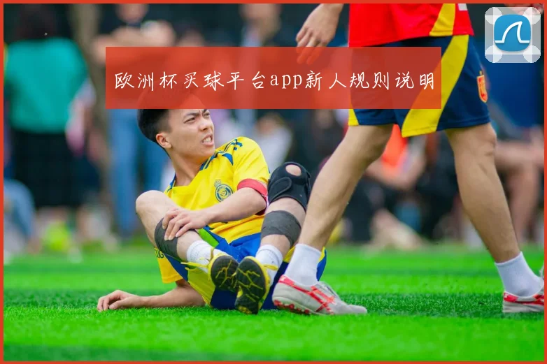欧洲杯买球平台app新人规则说明