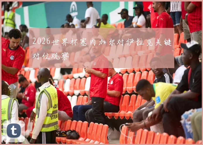 2026世界杯塞内加尔对伊拉克关键对位观察